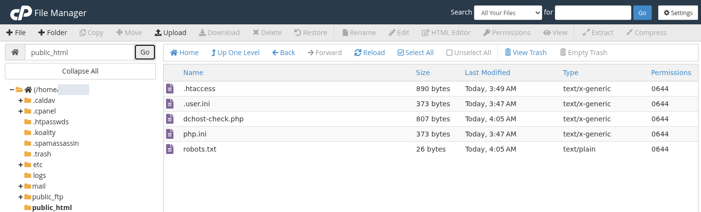 Dosyaların doğru klasöre geldiğini kontrol edin — gerçek cPanel ekranı.