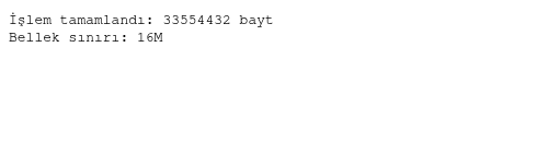 Tarayıcı çıktısında 33554432 sayaç değeri ve Bellek sınırı: 16M satırı.