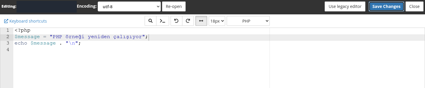 cPanel PHP editöründe ikinci satıra eklenmiş noktalı virgül ve Save Changes düğmesi.
