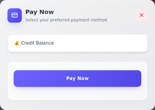 Pay Now penceresinde Credit Balance seçili; altında ödemeyi gönderen Pay Now düğmesi görünüyor.