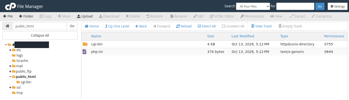 Gerçek cPanel File Manager ekranında public_html yolu, mevcut cgi-bin ve php.ini kayıtları, Upload düğmesi; hesaba özel ana dizin gizlenmiştir.