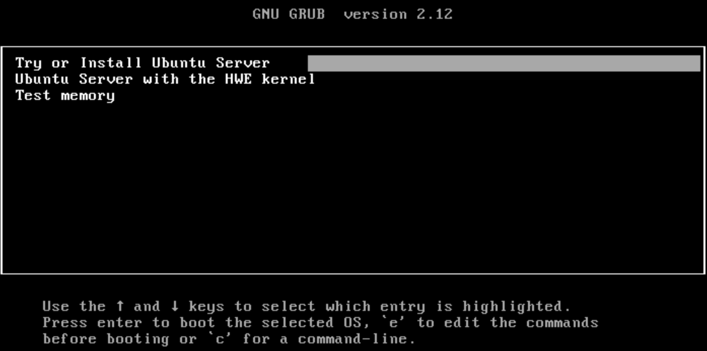 Ubuntu başlangıç menüsünde kurulum seçeneğini başlatın; gerçek Ubuntu Server başlangıç menüsü.