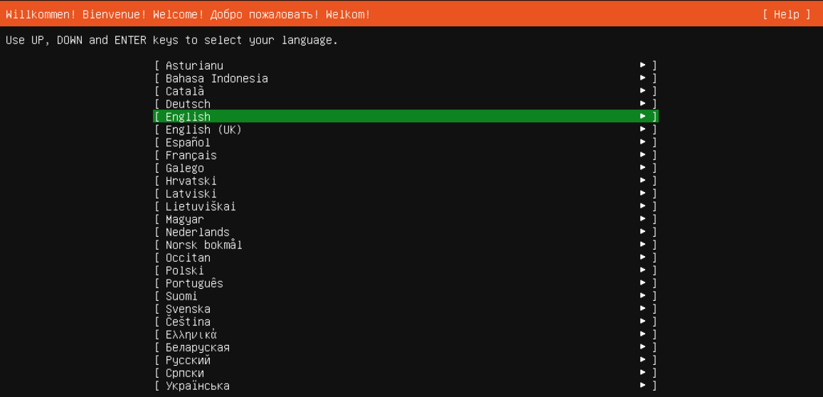 Kurulum dilini seçin; gerçek Ubuntu Server kurulum ekranı.