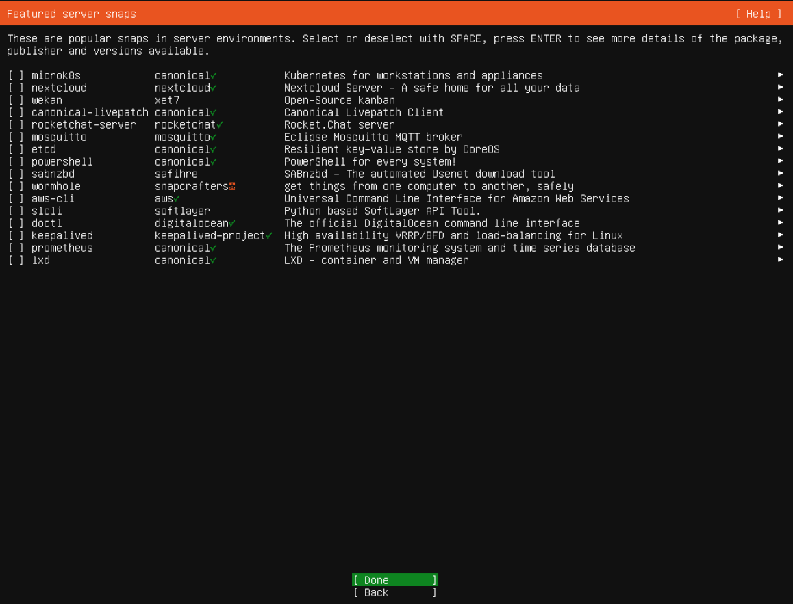 Ek sunucu snap paketlerini seçmeden devam edin; gerçek Ubuntu Server kurulum ekranı.