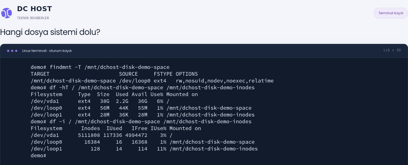 Gerçek Linux terminalinde findmnt, df -hT ve df -i çıktıları; kök disk ile iki yalıtılmış demo dosya sisteminin sağlıklı başlangıç durumu.