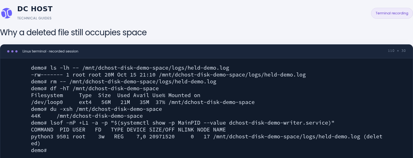 Actual terminal showing 21M used in df but 44K in du after deleting a 20M demo file, followed by lsof showing a 20MiB open file with NLINK 0.