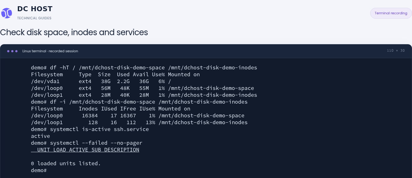 Actual final check showing 6% root-disk usage and 1% space usage on both demo filesystems; SSH is active and systemctl reports no failed units.