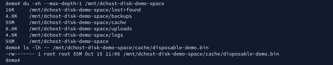 Actual du output showing 55M in the cache directory and ls -lh output identifying a 55M disposable-demo.bin file.