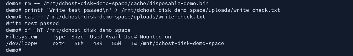Actual terminal removing only disposable-demo.bin, reading Write test passed from the saved file and showing space usage reduced to 1%.