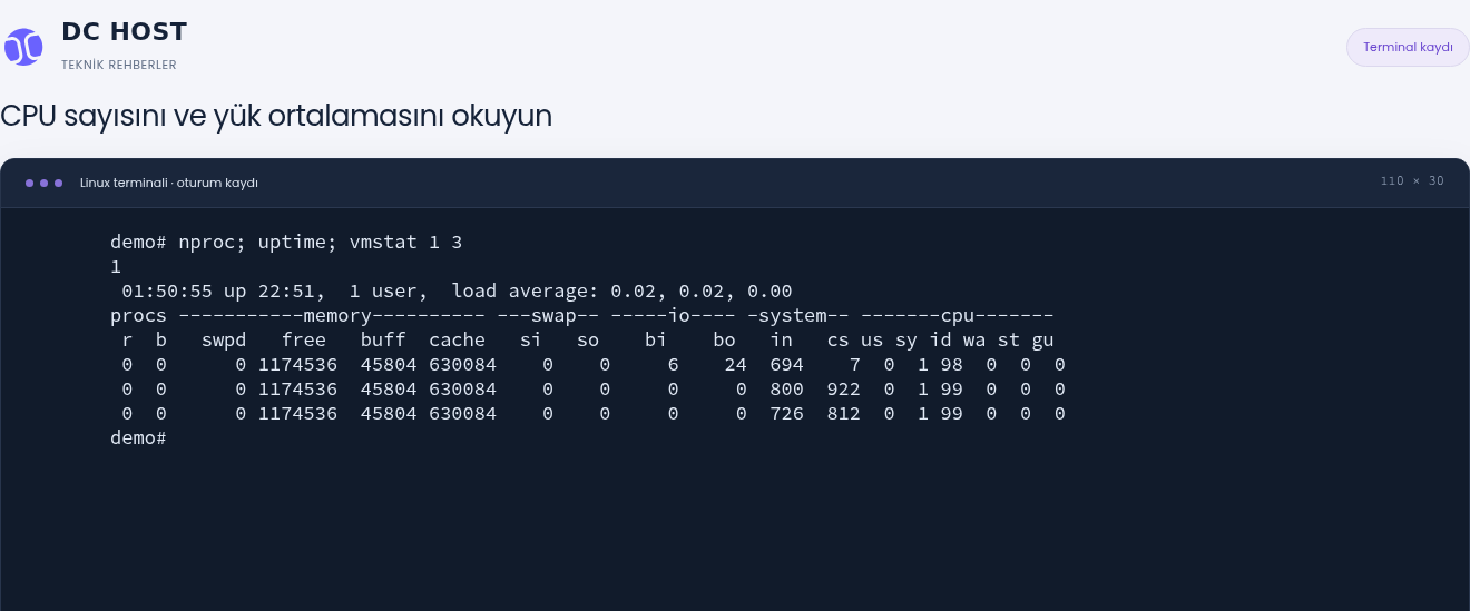 Gerçek başlangıç ölçümünde bir kullanılabilir CPU ve 0,02, 0,02, 0,00 yük ortalamaları.