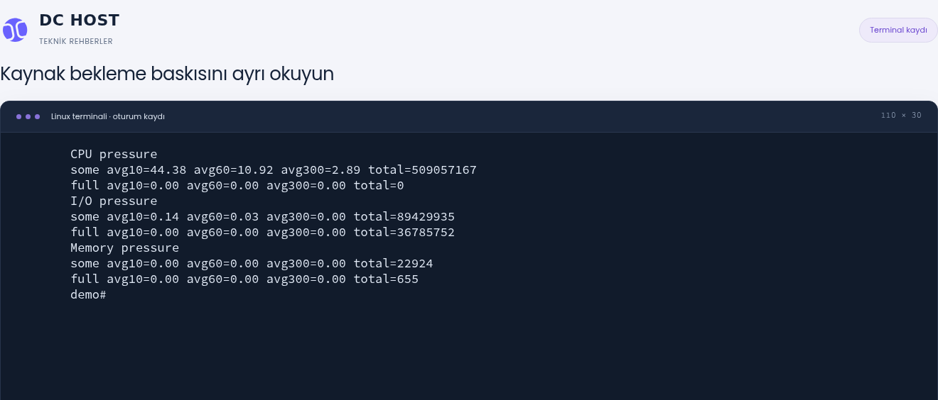 Gerçek PSI örneğinde CPU some avg10 44,38, I/O some avg10 0,14 ve bellek some avg10 0,00.