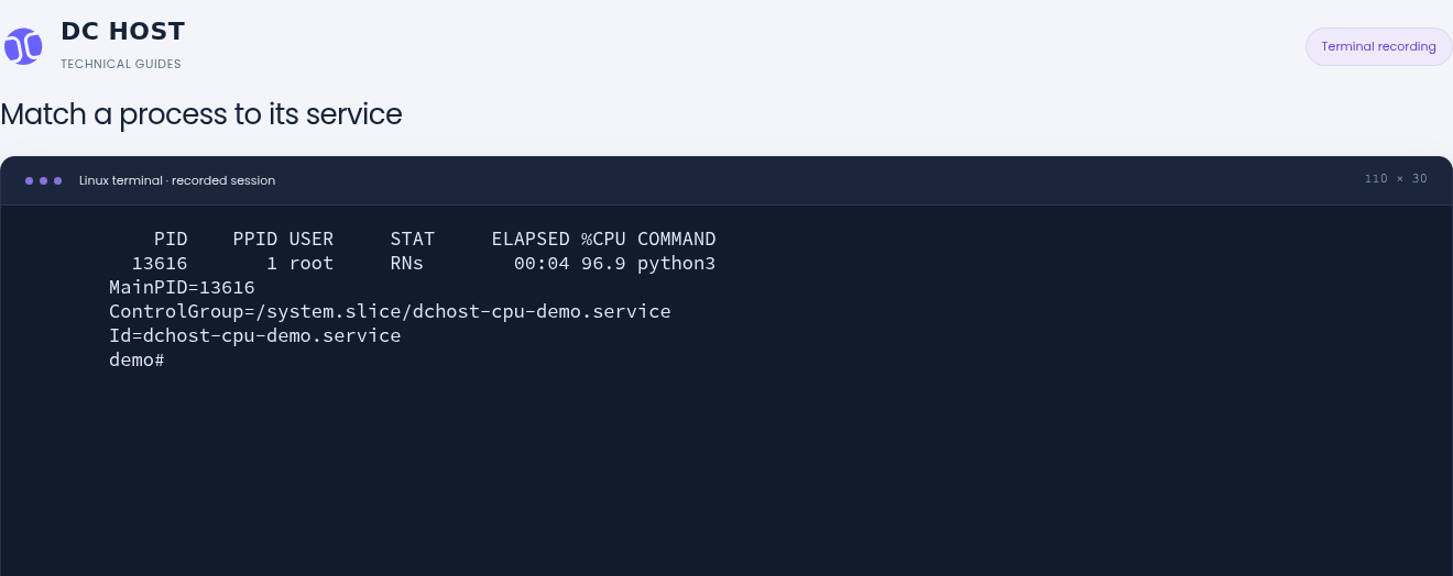 Actual ps and systemctl output matching PID 13616 to dchost-cpu-demo.service.
