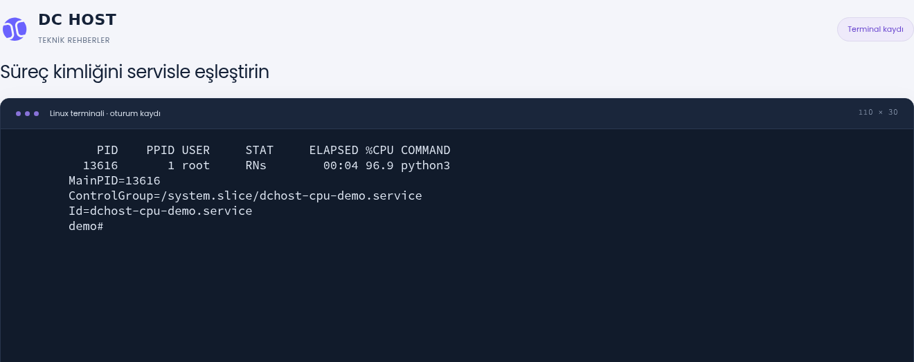 Gerçek ps ve systemctl çıktılarında PID 13616 ve dchost-cpu-demo.service eşleşmesi.