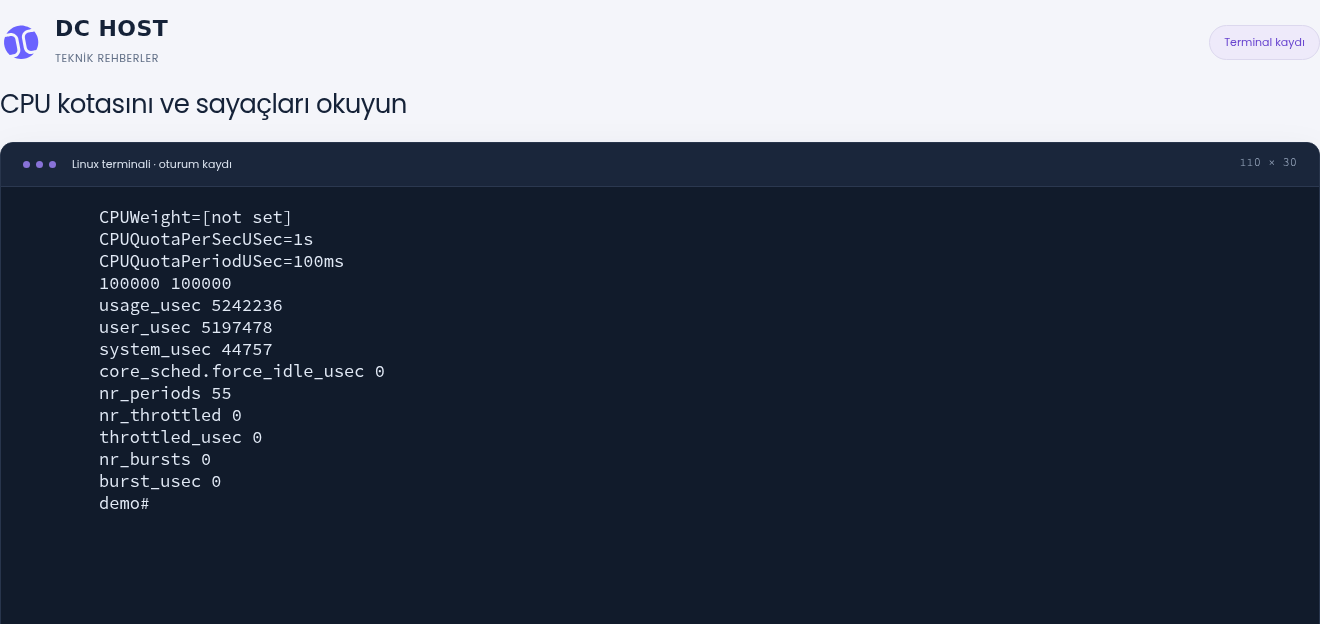 Gerçek cpu.max değeri 100000 100000; nr_throttled ve throttled_usec bu ölçümde sıfır.