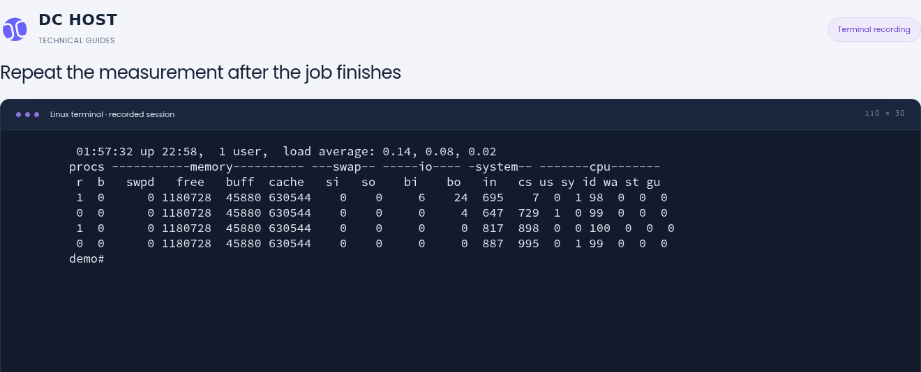 Actual later interval samples with 99–100 percent idle CPU and load averages of 0.14, 0.08 and 0.02.