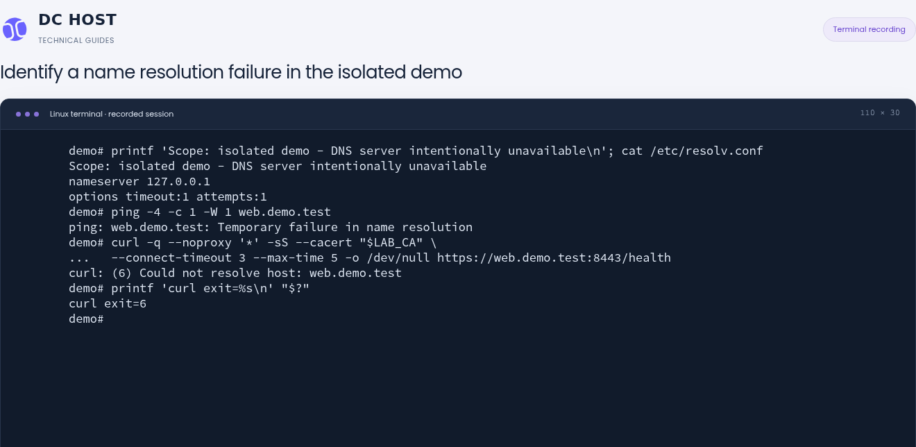 In the isolated demo, ping reports a name resolution failure; curl reports Could not resolve host and exit code 6.