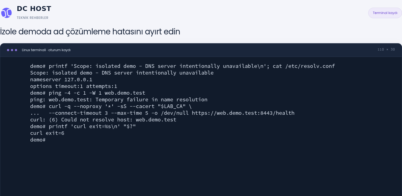 İzole demoda ping ad çözümleme hatası veriyor; curl Could not resolve host ve çıkış kodu 6 bildiriyor.