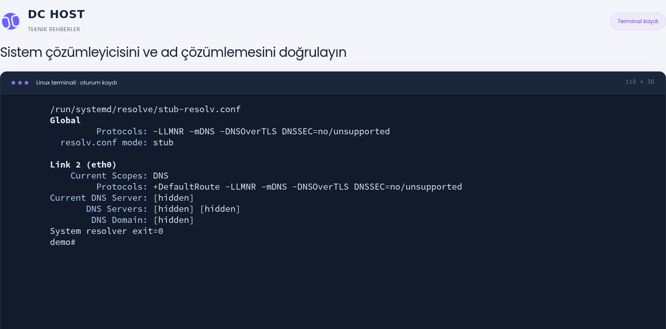 Gerçek çıktıda systemd-resolved stub dosyası, stub modu ve başarılı sistem çözümleyicisi kontrolü için exit=0.