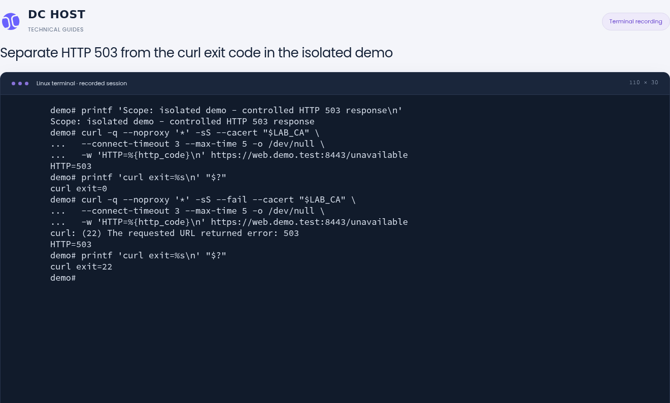 The isolated demo shows HTTP=503 with curl exit=0 first, then curl exit=22 when --fail is used.