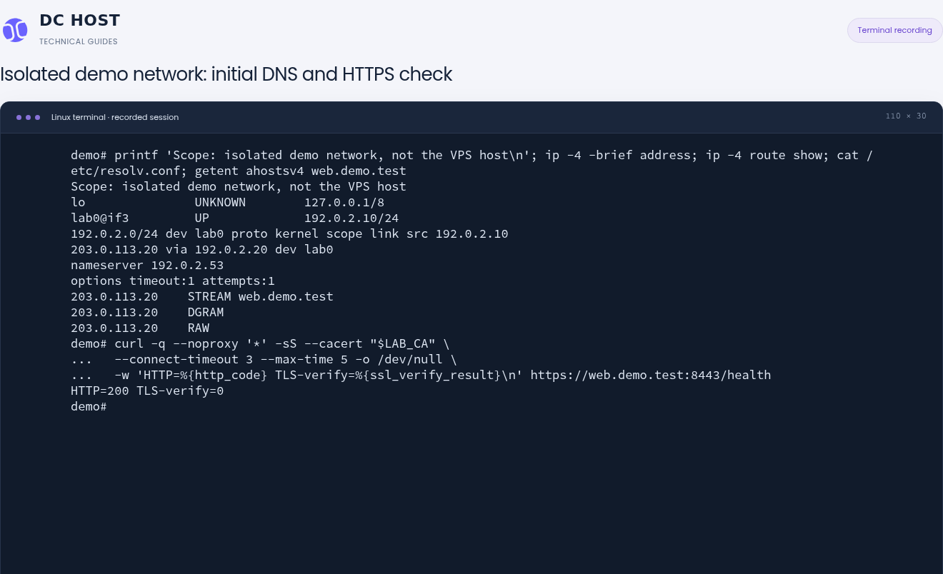 Isolated demo output resolves web.demo.test to 203.0.113.20 and reports HTTP=200 TLS-verify=0 for the HTTPS check.