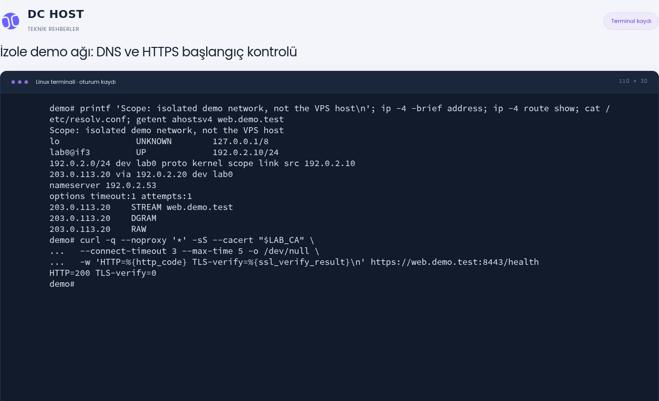 İzole demo çıktısında web.demo.test için 203.0.113.20 adresi ve HTTPS kontrolünde HTTP=200 TLS-verify=0.