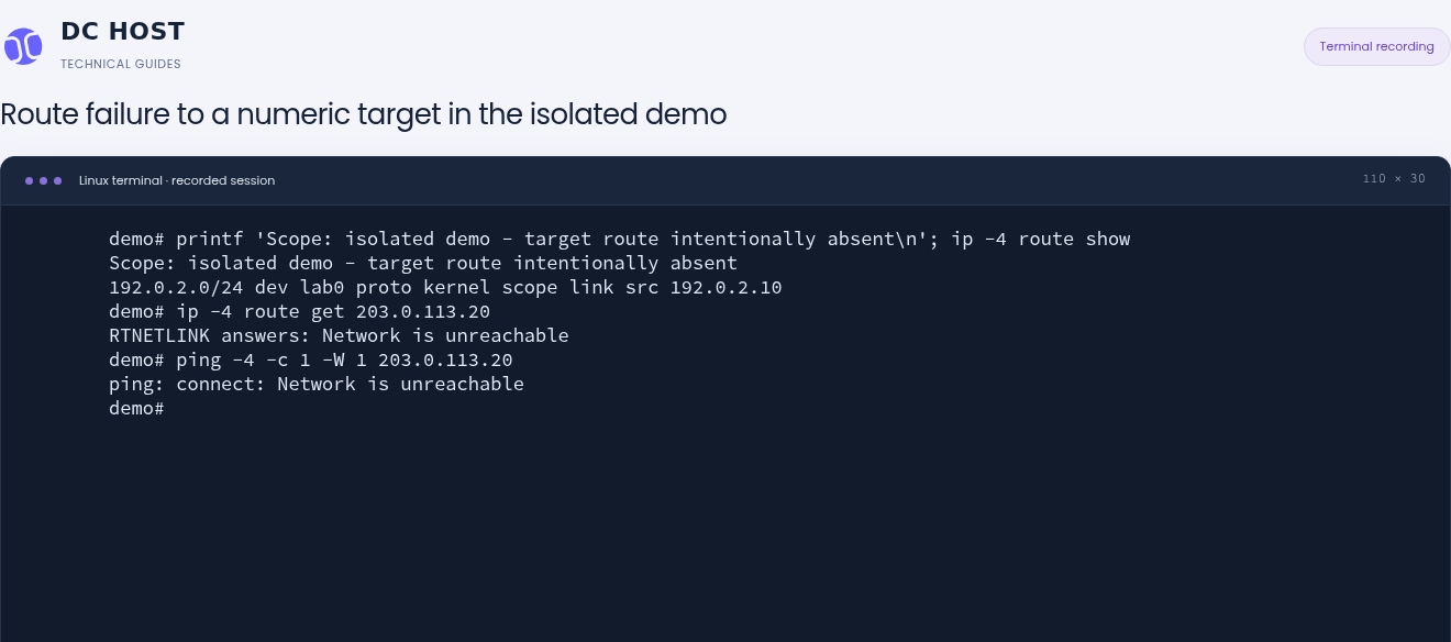 In the isolated demo, ip route get and ping to a numeric target report Network is unreachable.