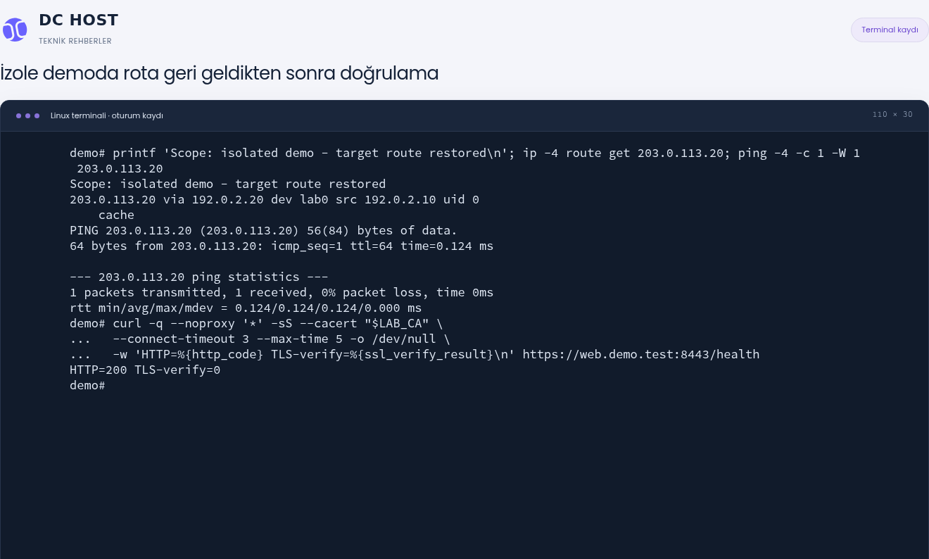 İzole demoda hedef rota 192.0.2.20 üzerinden seçiliyor, bir ping yanıtı alınıyor ve HTTPS HTTP=200 TLS-verify=0 gösteriyor.