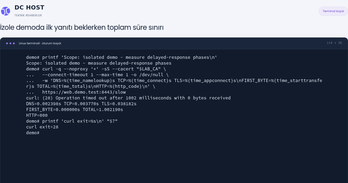 İzole demoda DNS, TCP ve TLS süreleri dolu; FIRST_BYTE=0.000000s, TOTAL=1.002190s, HTTP=000 ve curl exit=28.