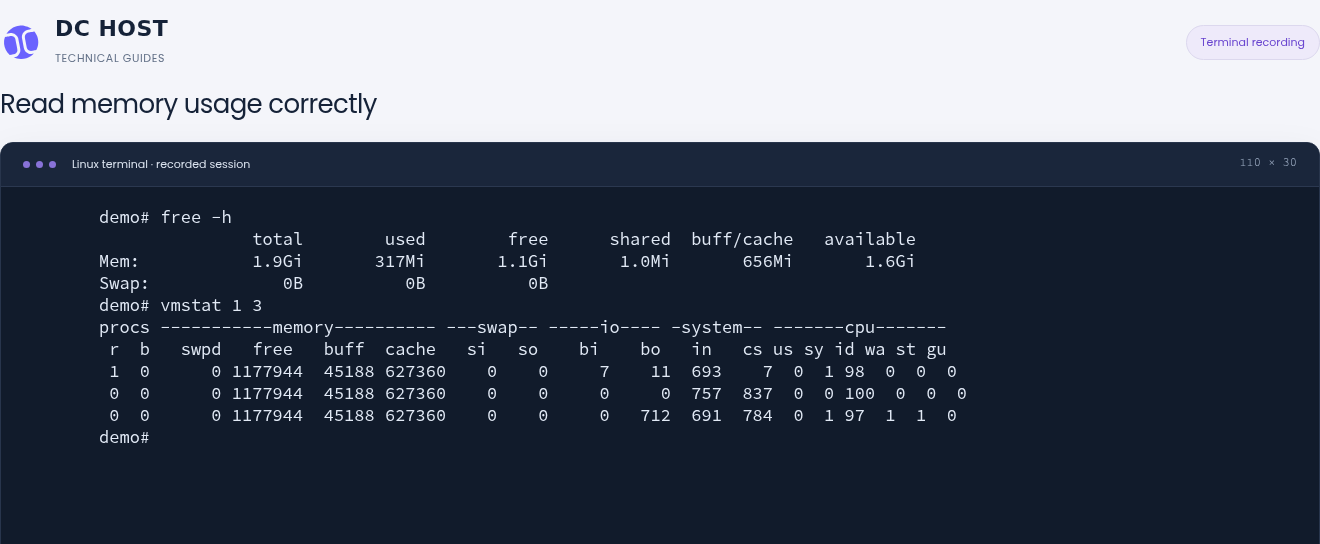 Actual demo free and vmstat output showing 1.6 GiB available memory and no swap activity.