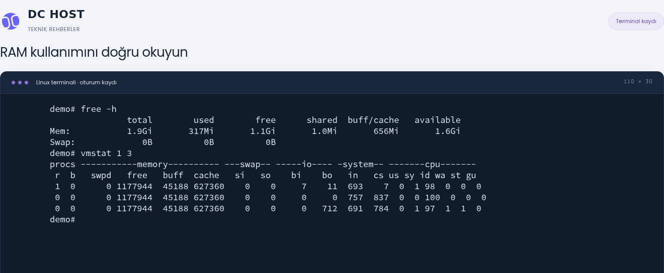 Gerçek demo sunucuda free ve vmstat çıktıları; 1,6 GiB kullanılabilir RAM ve sıfır swap hareketi.