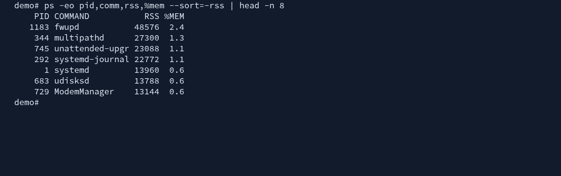 Actual ps output listing processes by RSS memory usage.