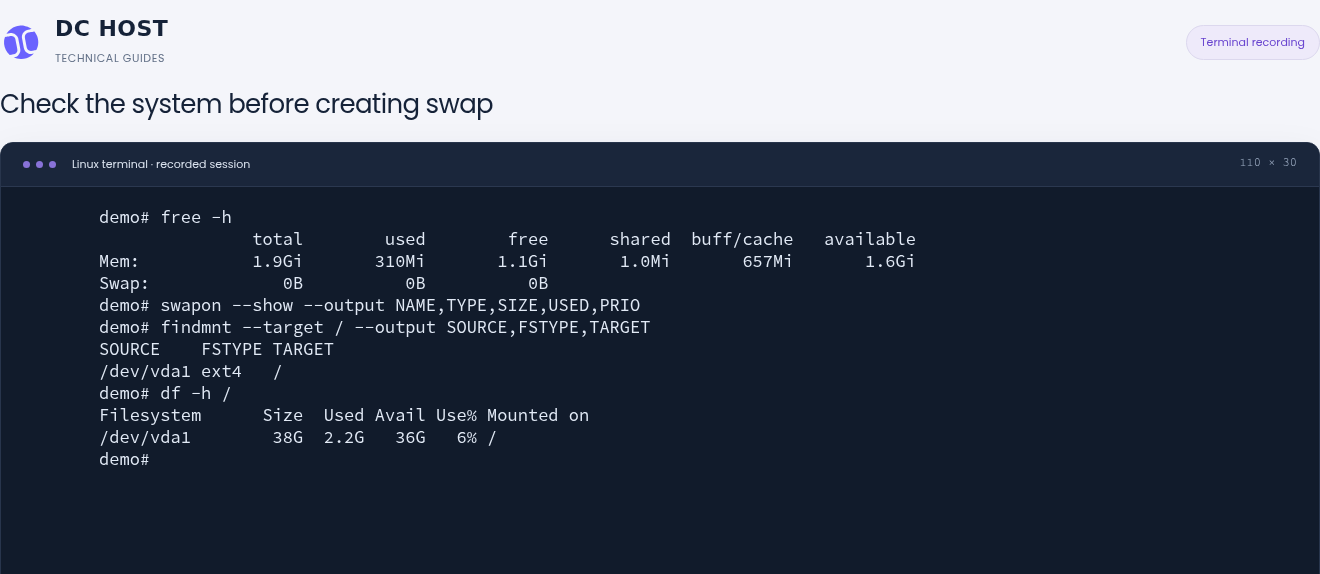 Actual demo output showing no swap, an ext4 root filesystem and 36 GiB available disk space.