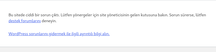 Gerçek WordPress yönetim adresinde Bu sitede ciddi bir sorun çıktı. mesajı ve site yöneticisinin gelen kutusunu kontrol etme yönlendirmesi.