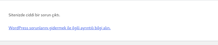 Gerçek WordPress ziyaretçi ekranında Sitenizde ciddi bir sorun çıktı. mesajı ve sorun giderme bağlantısı.